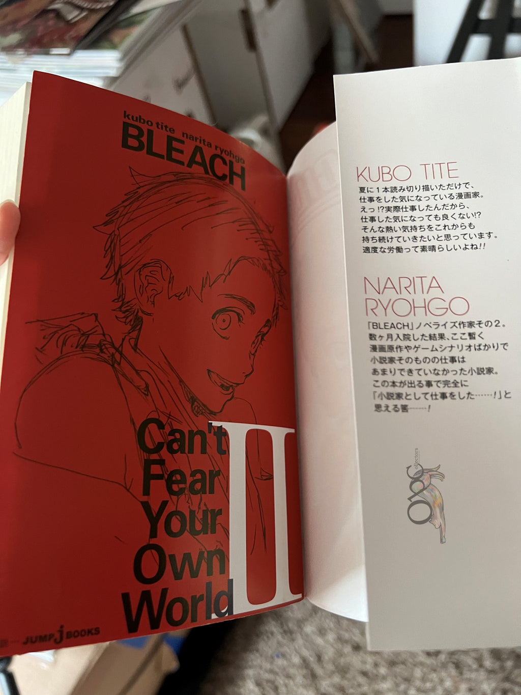 Bleach: Can't Fear Your Own World Volume 2 Light Novel (Japanese)