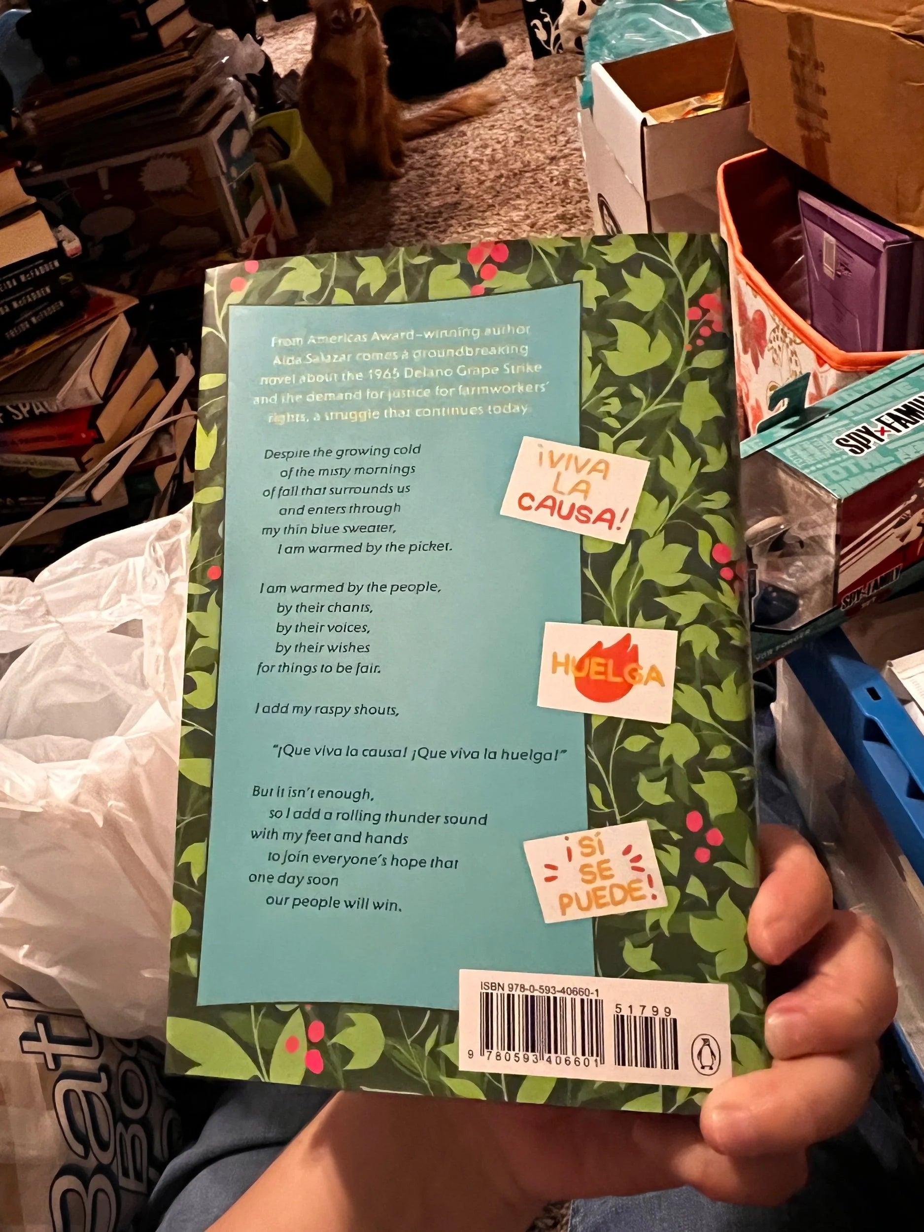 A Seed in the Sun by Aida Salazar