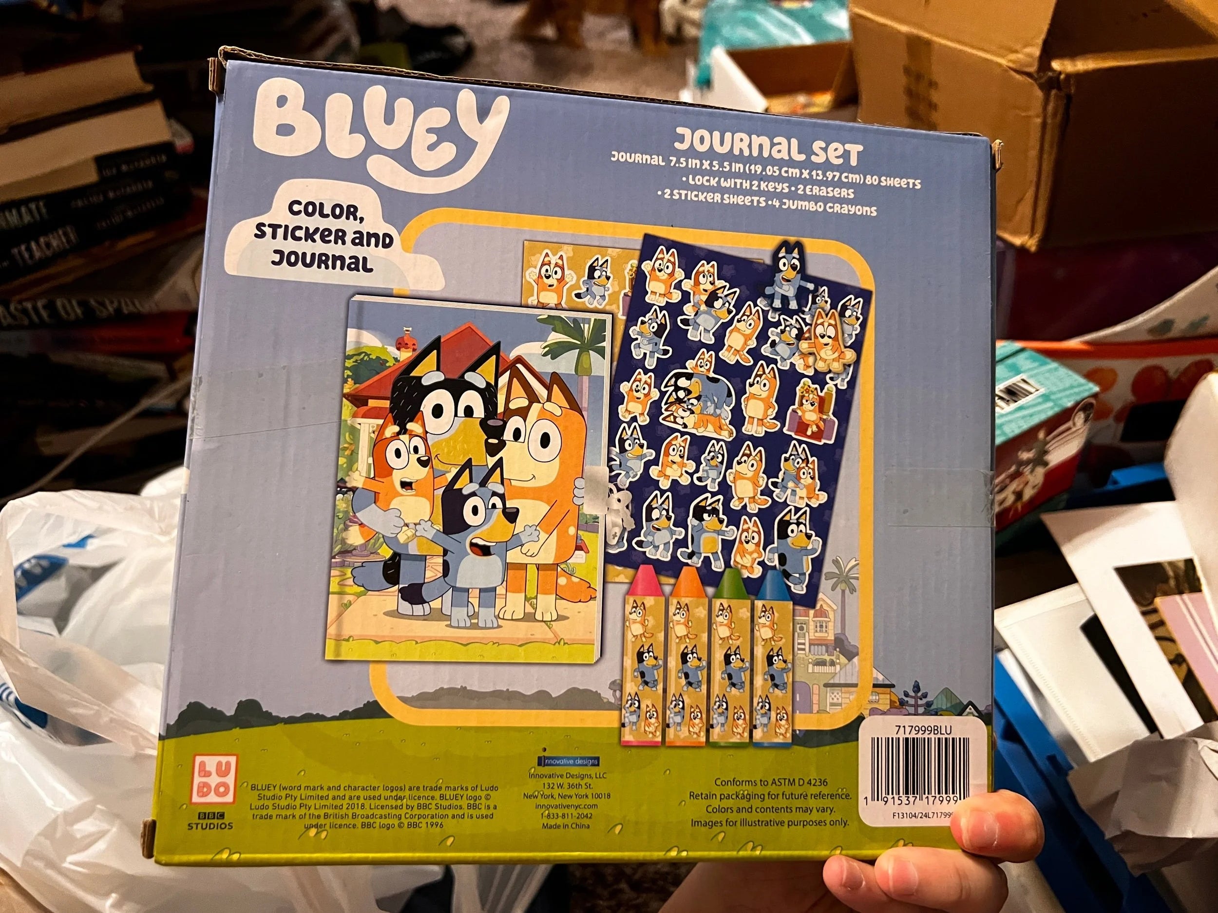 Bluey Journal Set