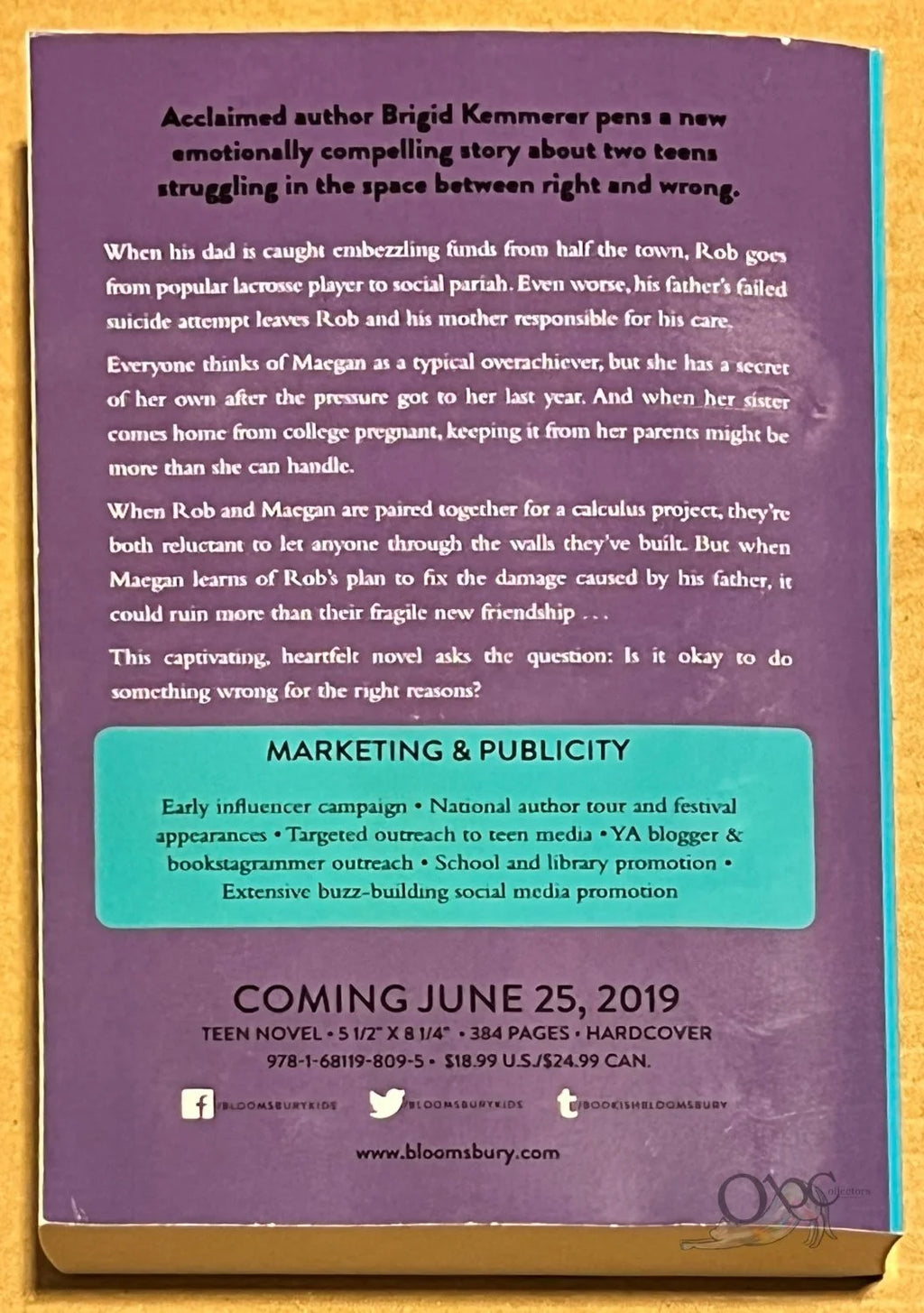 ARC Call It What You Want by Brigid Kemmmerer