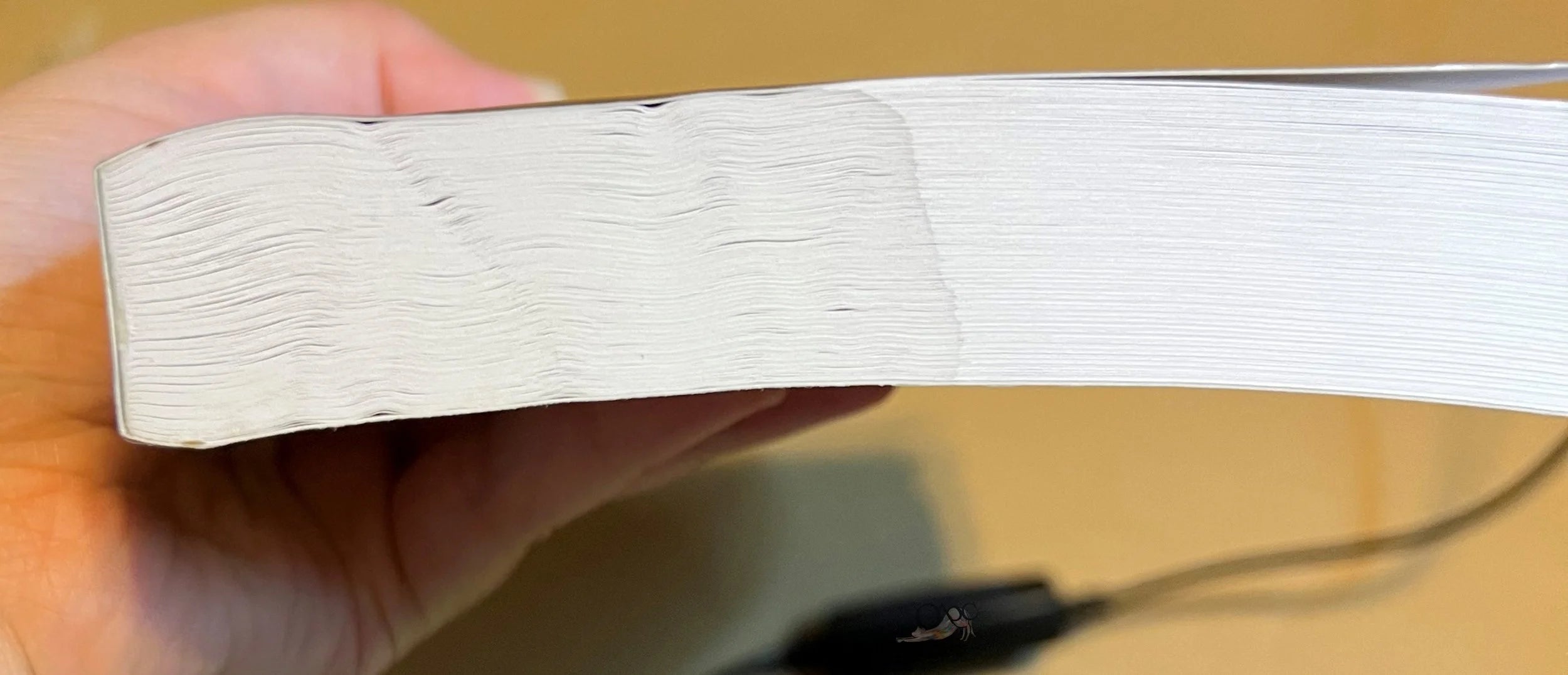 Echo After Echo by Amy Rose Capetta