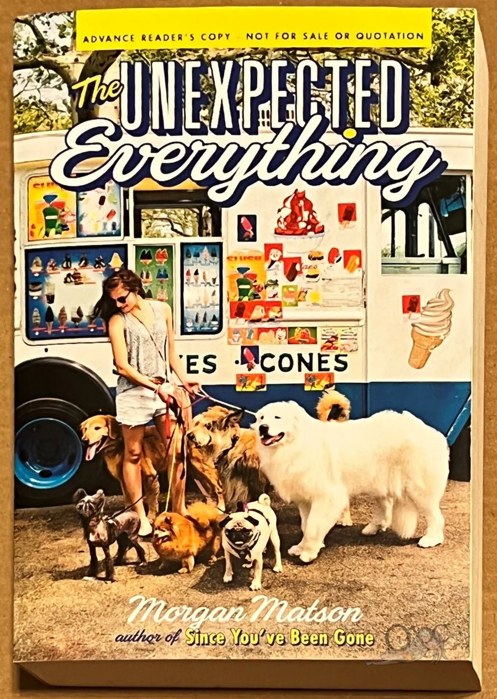 ARC The Unexpected Everything by Morgan Matson