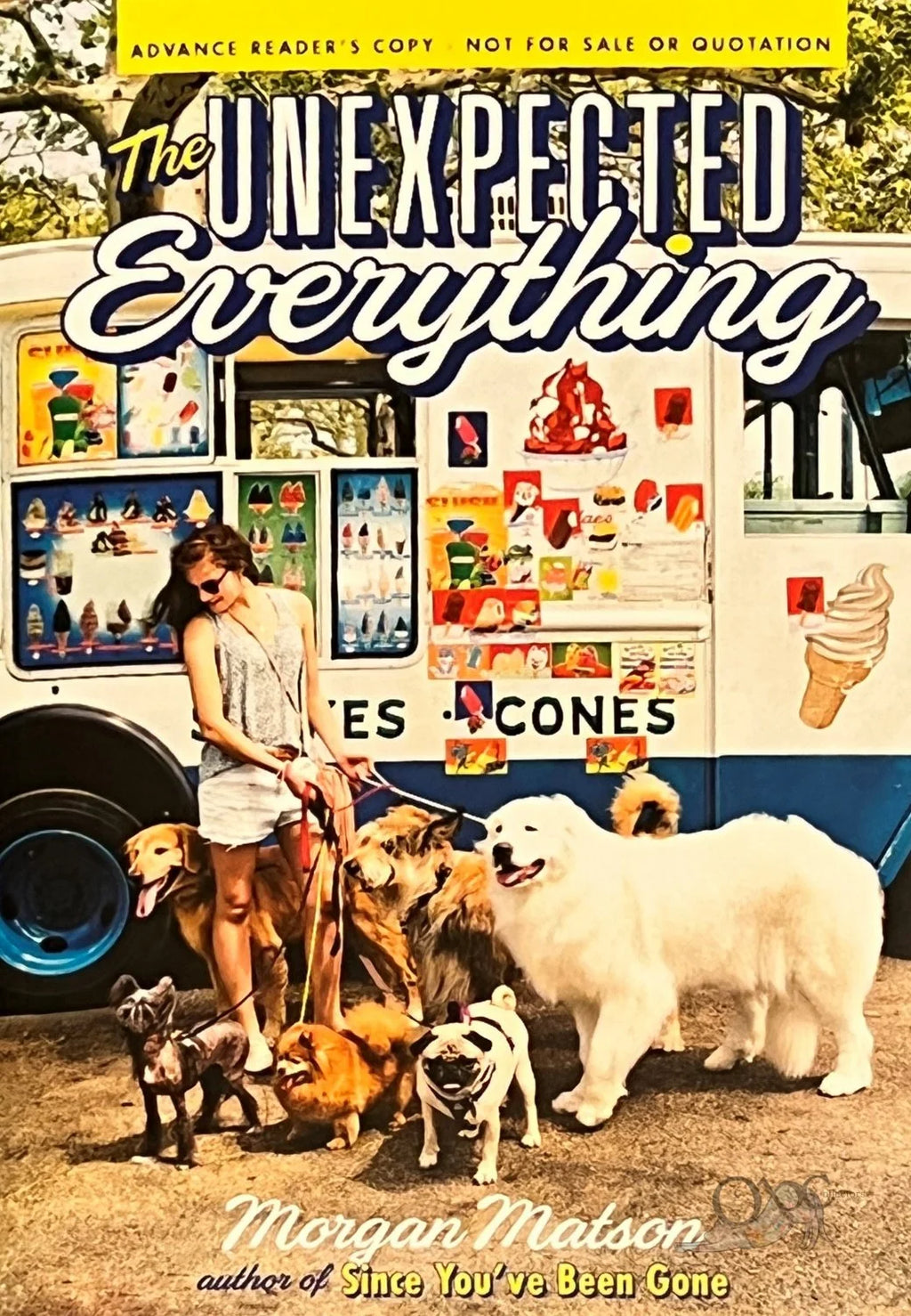ARC The Unexpected Everything by Morgan Matson