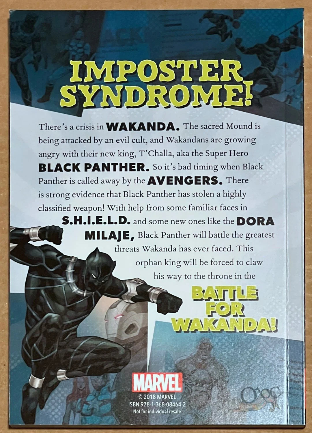 Black Panther Battle for Wakanda (Children's Chapter Book)