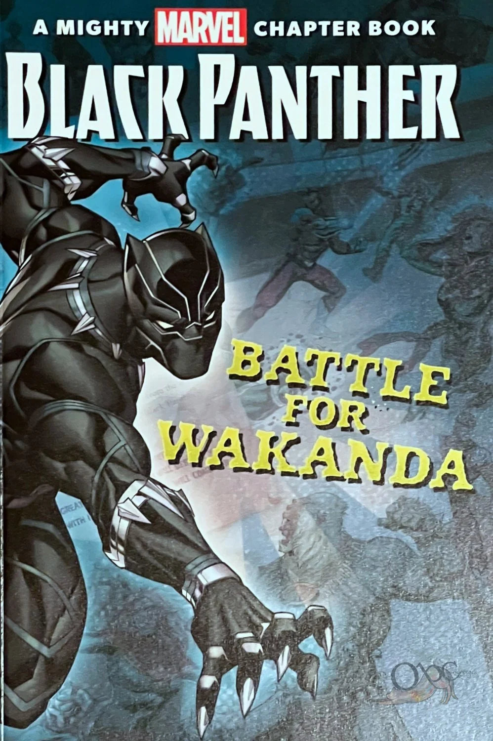 Black Panther Battle for Wakanda (Children's Chapter Book)
