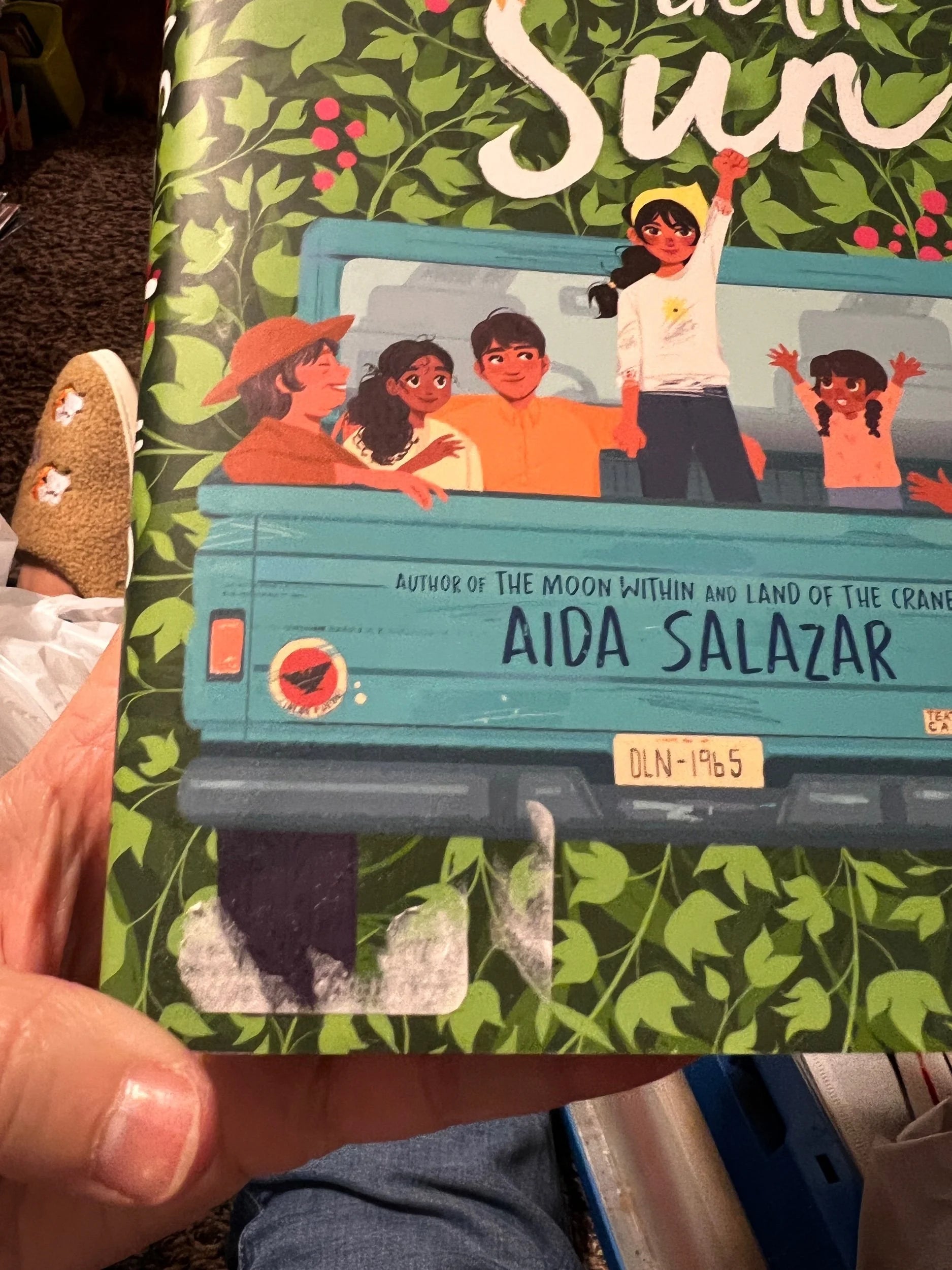 A Seed in the Sun by Aida Salazar