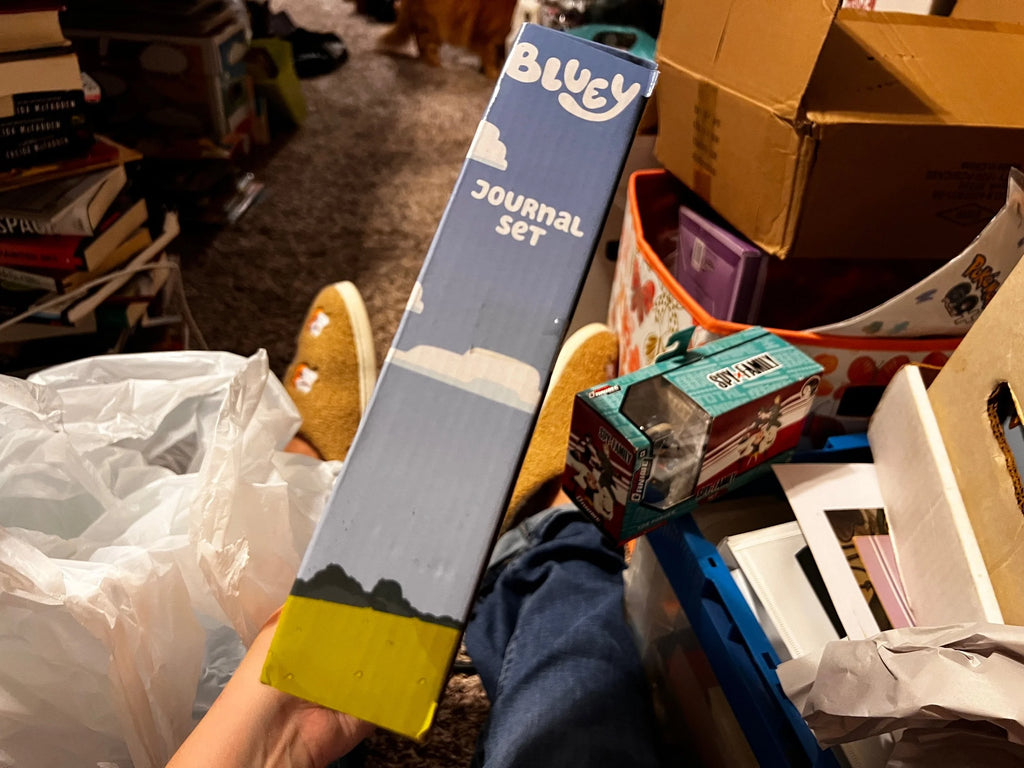 Bluey Journal Set