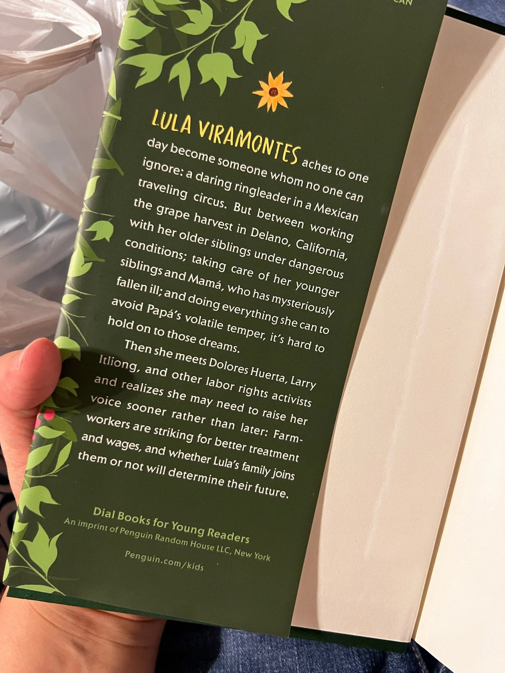 A Seed in the Sun by Aida Salazar