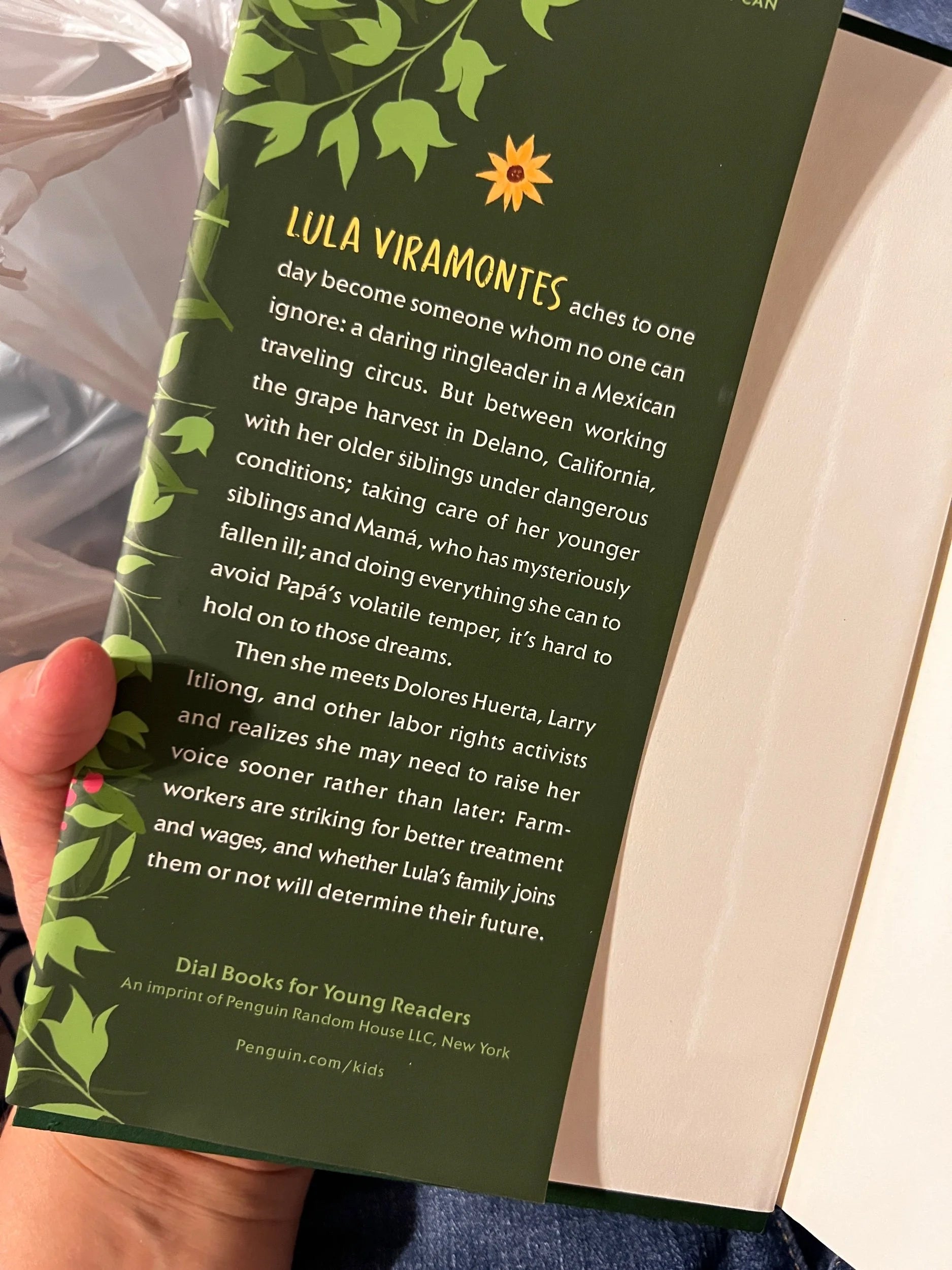 A Seed in the Sun by Aida Salazar