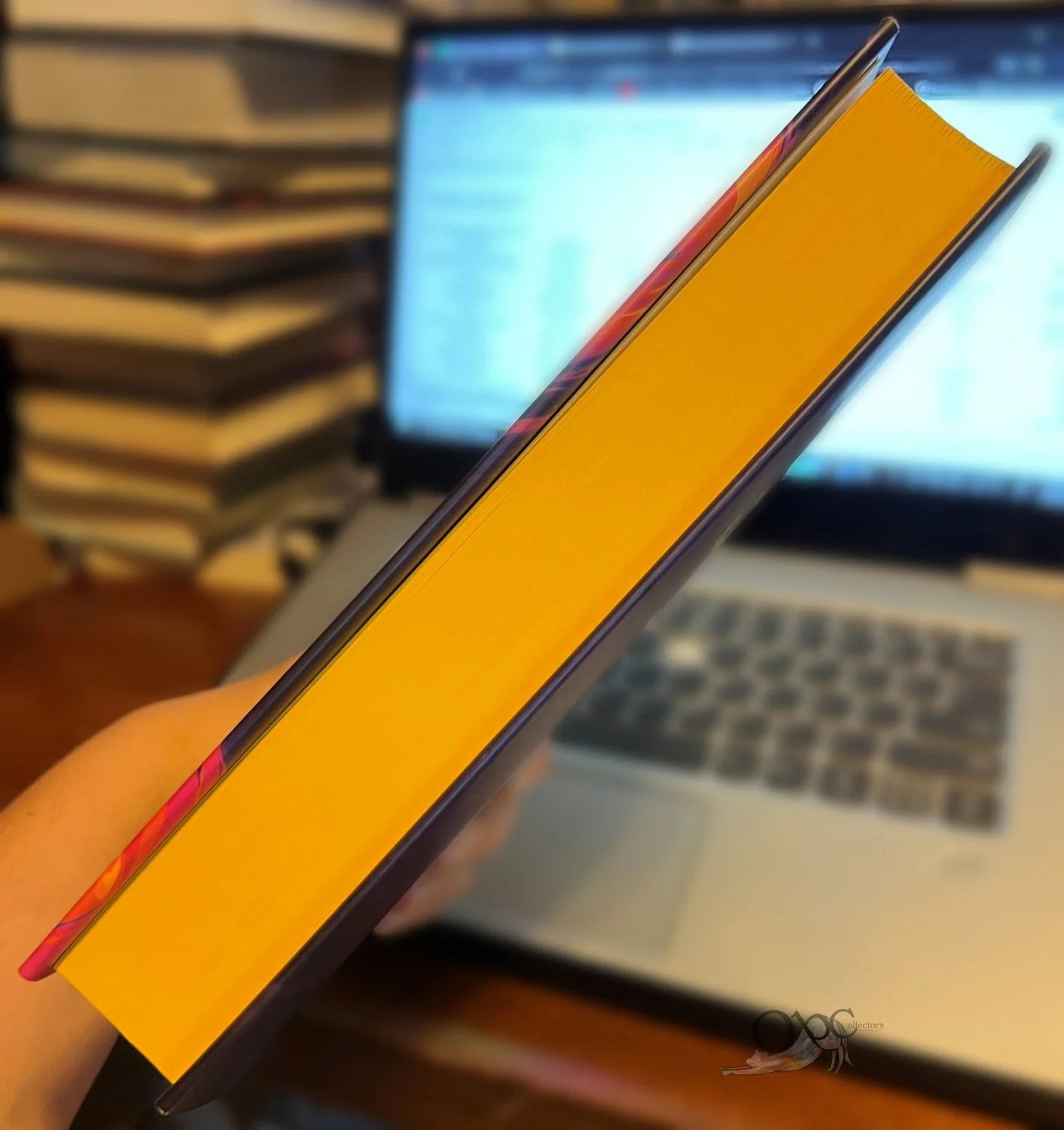 Fire with Fire by Destiny Soria Fairyloot Exclusive