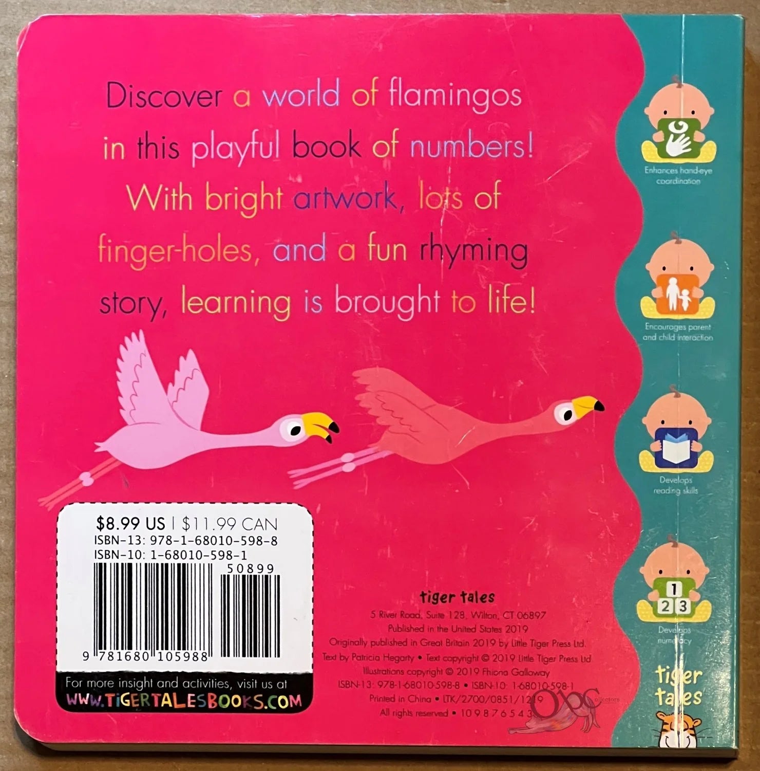 Flamingo A Playful Book of Counting by Patricia Hegarty