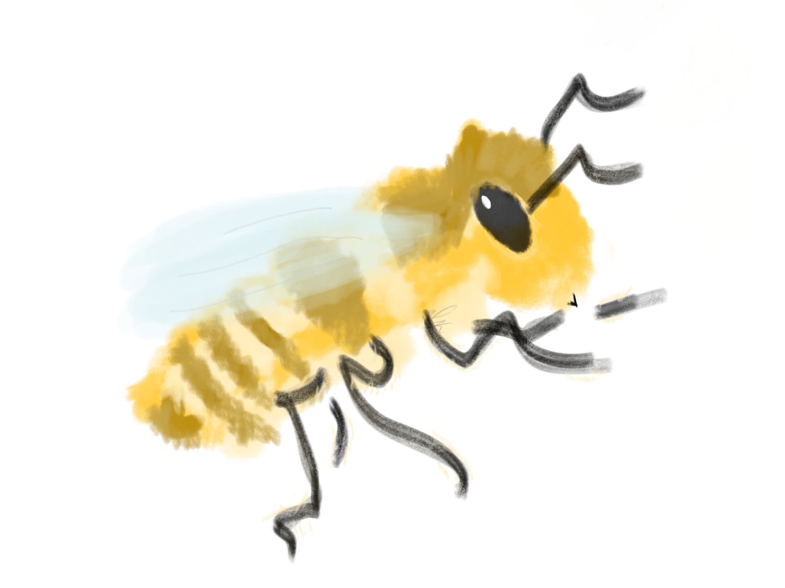 Bee Punny Button Pinback