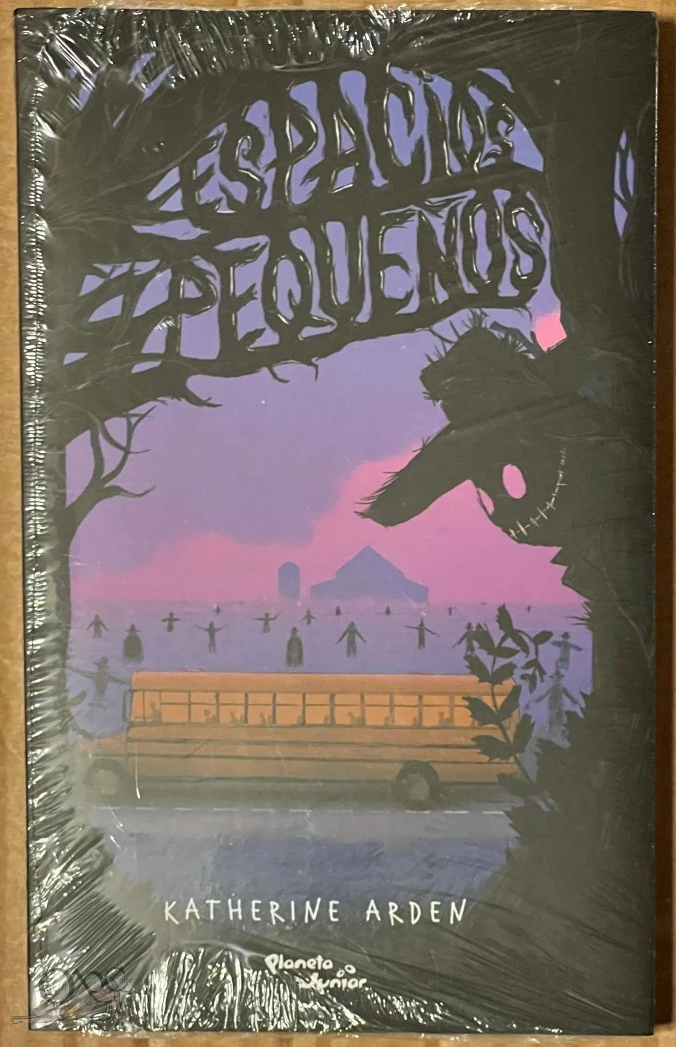 Espacios Pequetos by Katherine Arden (Spanish Version: Small Spaces #1)