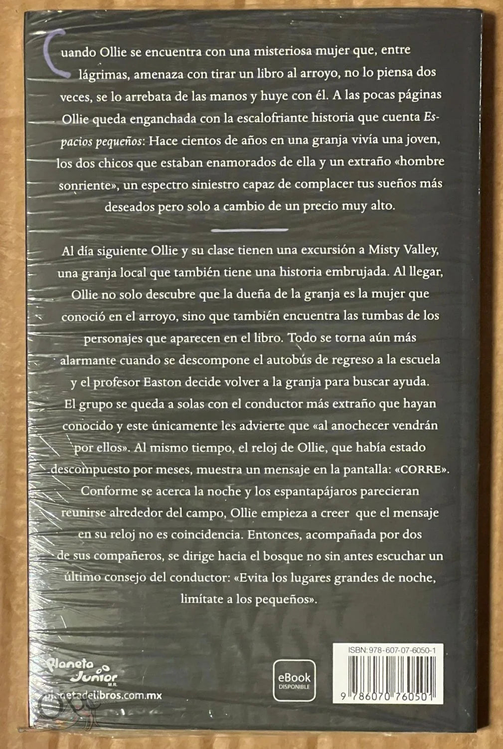 Espacios Pequetos by Katherine Arden (Spanish Version: Small Spaces #1)