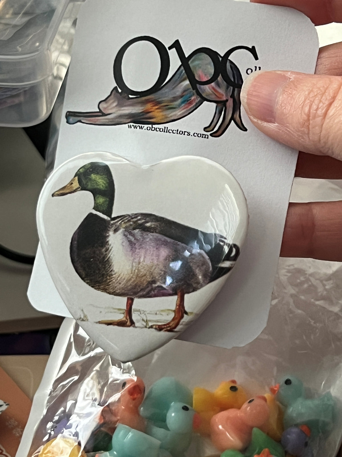 57mm Mallard Duck Heart Button Pinback