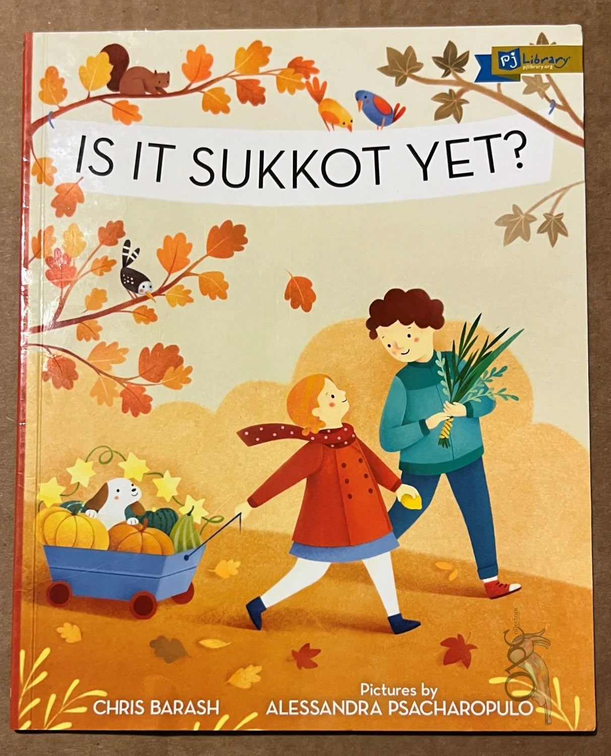 Is It Sukkot Yet? by Chris Barash illustrated by Alessandra Psacharopulo