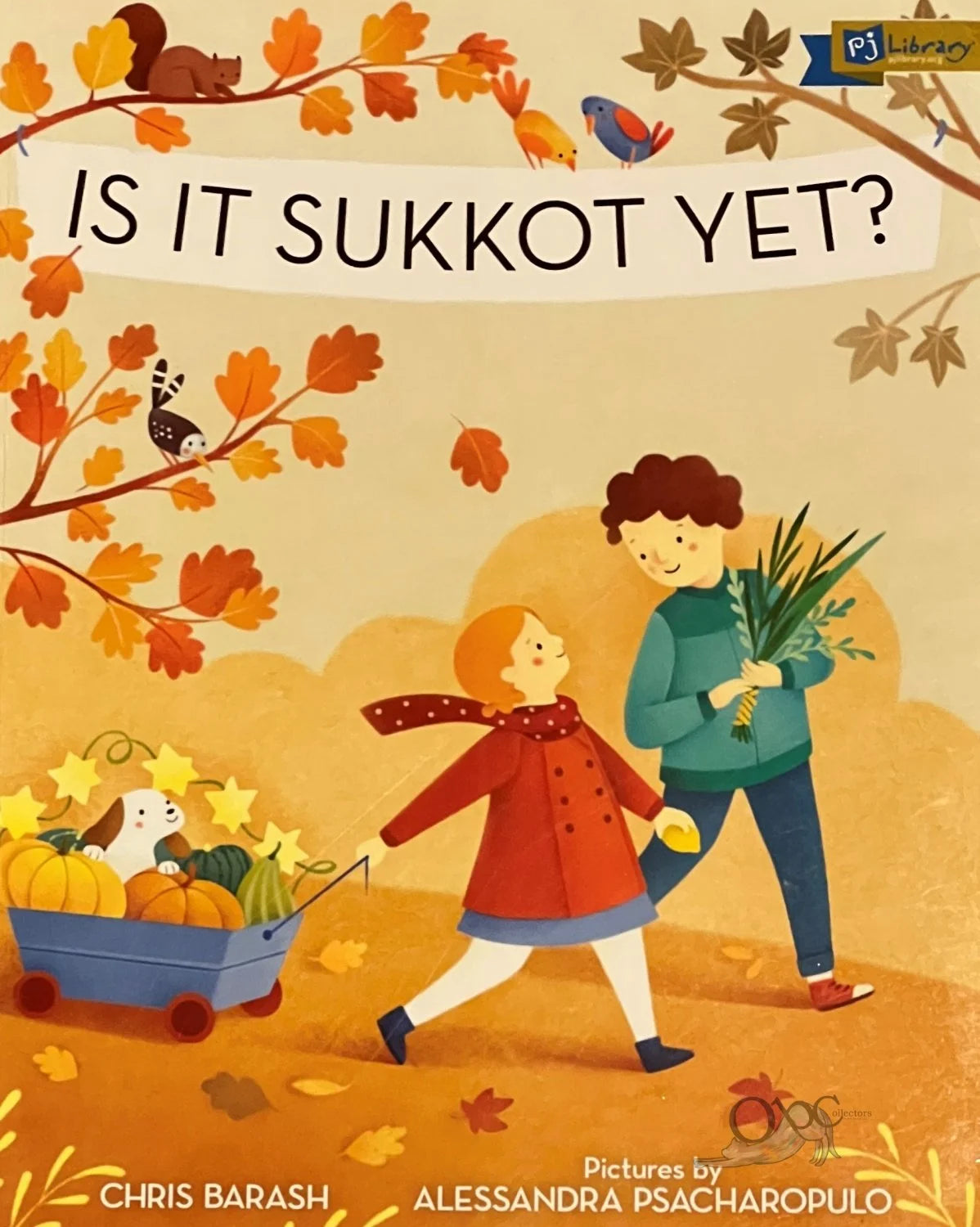 Is It Sukkot Yet? by Chris Barash illustrated by Alessandra Psacharopulo