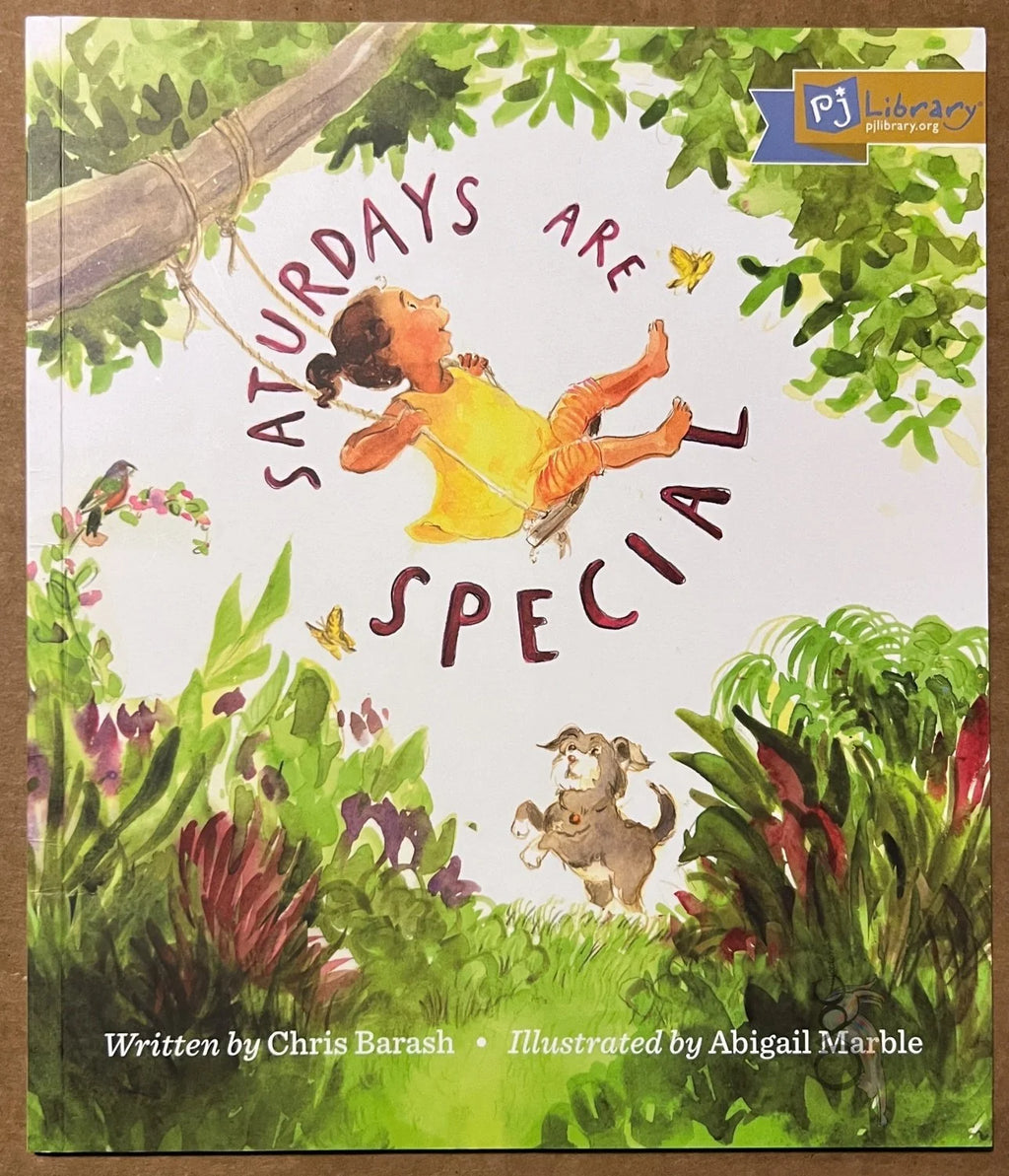 Saturdays are Special by Chris Barash illustrated by Abigail Marble