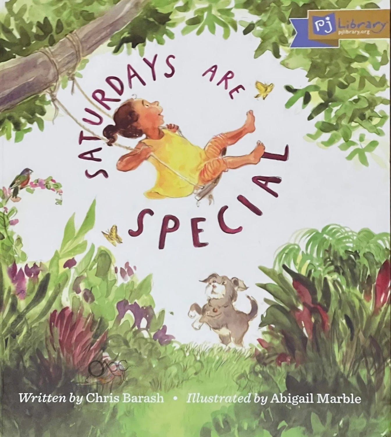 Saturdays are Special by Chris Barash illustrated by Abigail Marble