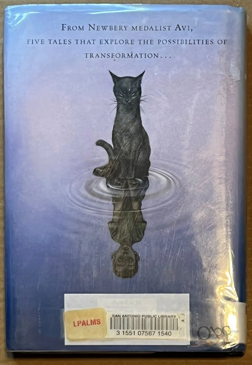 Strange Happenings by Avi