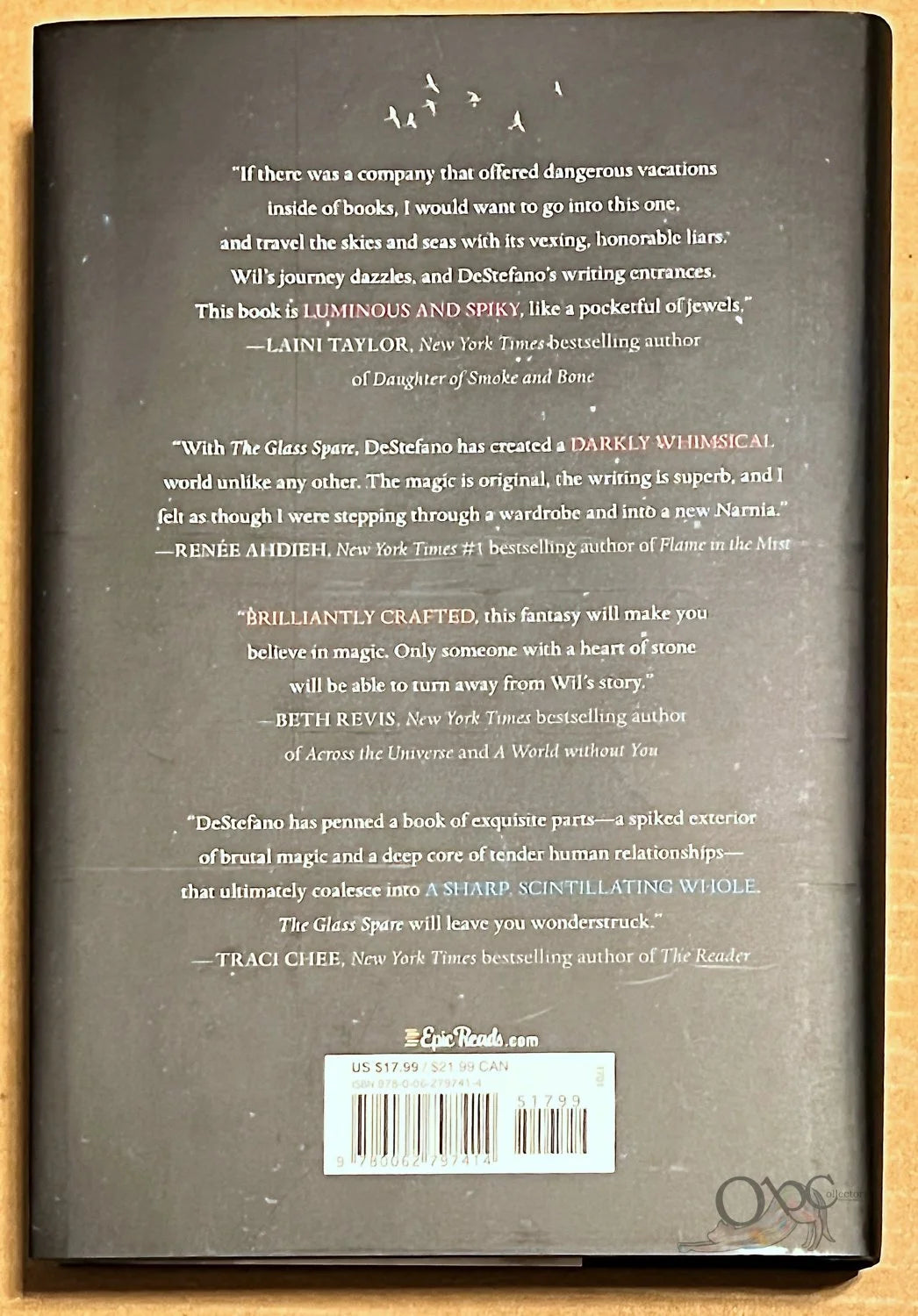 The Glass Spare by Lauren Desteffano OwlCrate Edition
