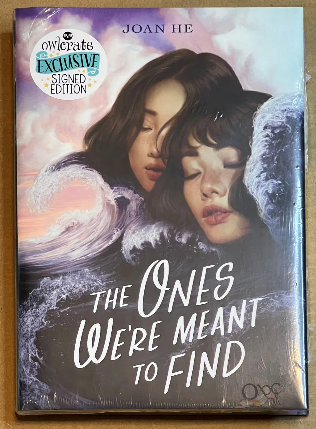 The Ones We're Meant to Find by Joan He Owlcrate Exclusive