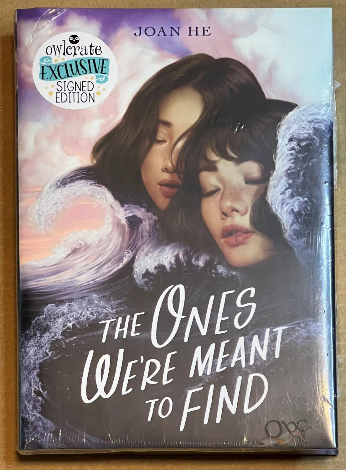 The Ones We're Meant to Find by Joan He Owlcrate Exclusive