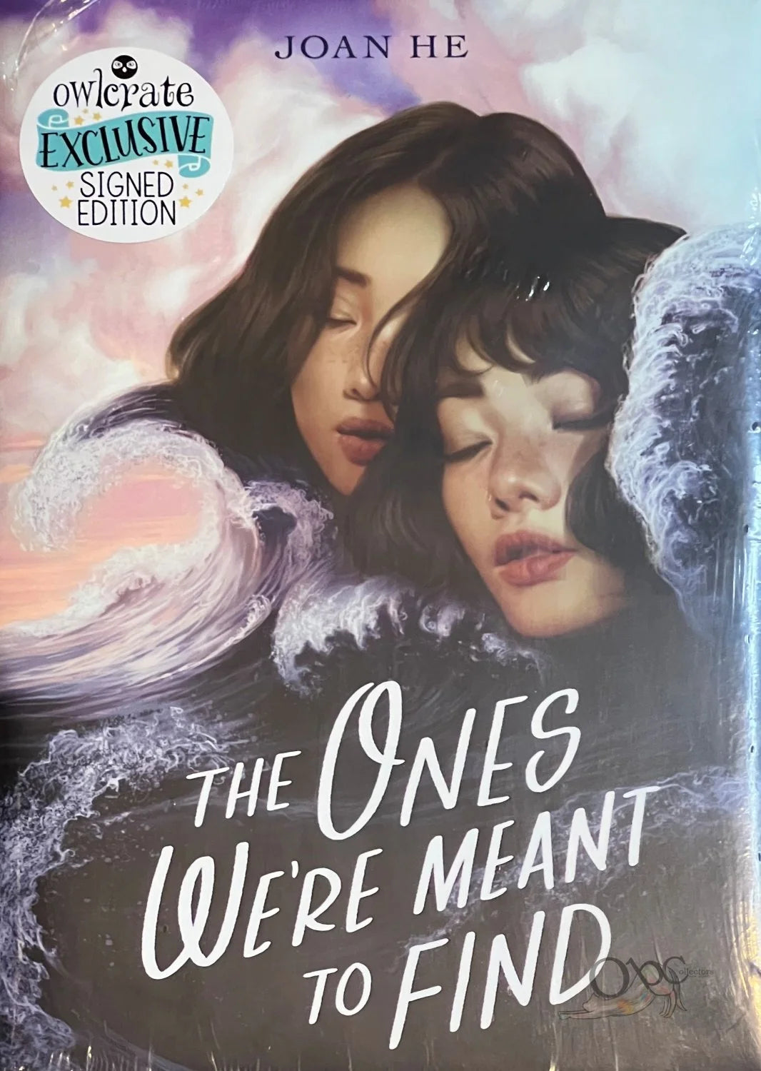 The Ones We're Meant to Find by Joan He Owlcrate Exclusive