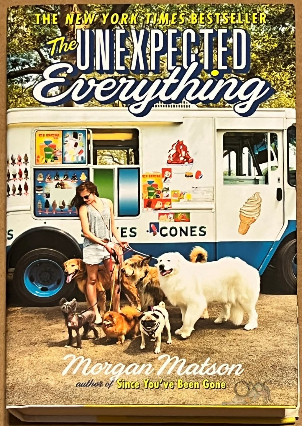 The Unexpected Everything by Morgan Matson