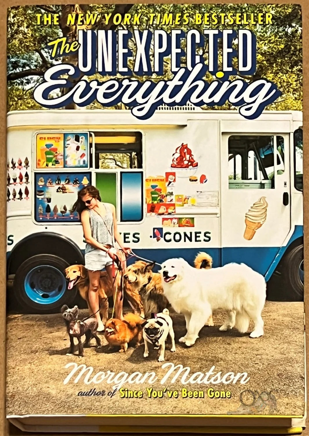 The Unexpected Everything by Morgan Matson