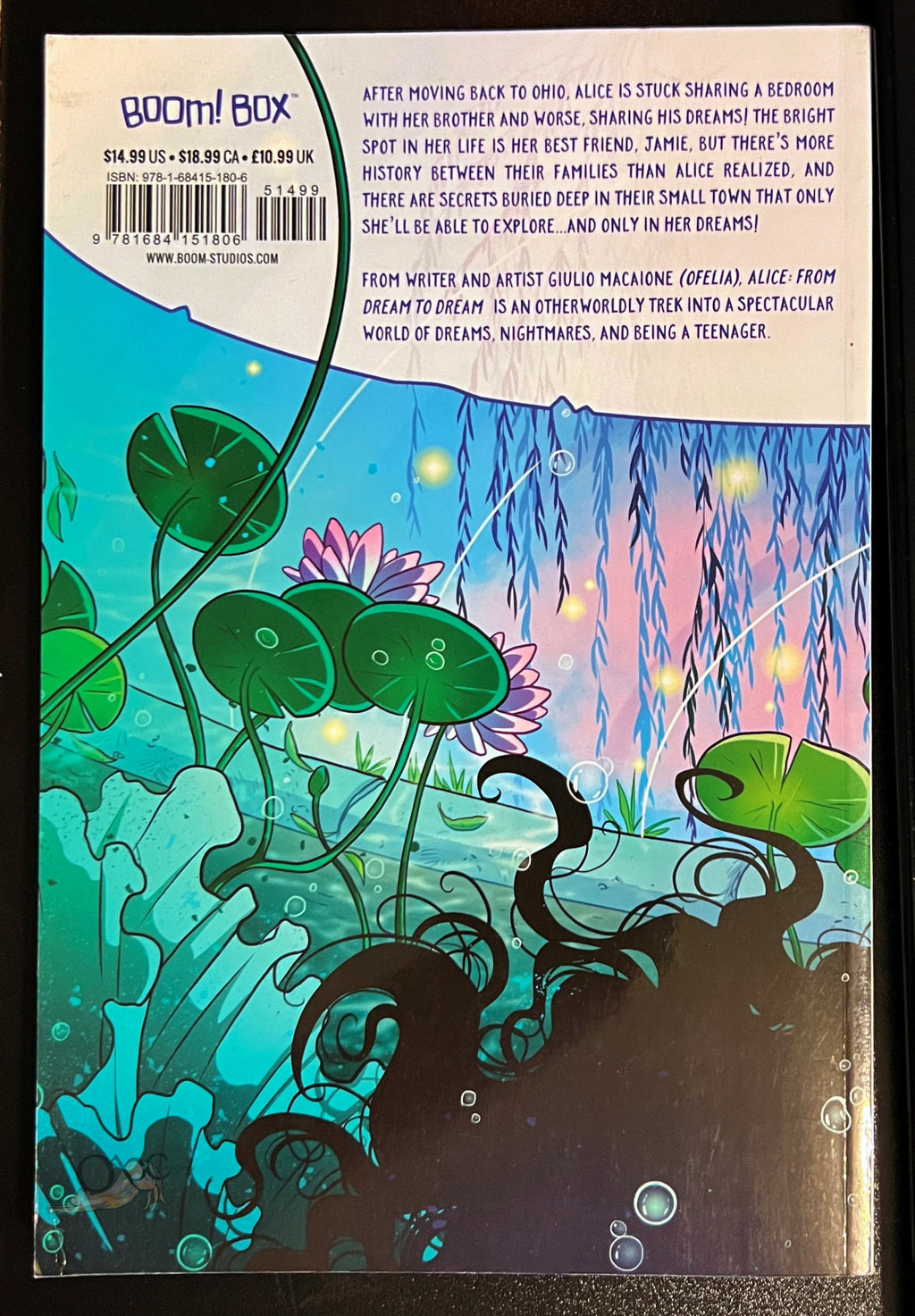 Alice: from Dream to Dream by Giulio Macaione and Giulio Adragna