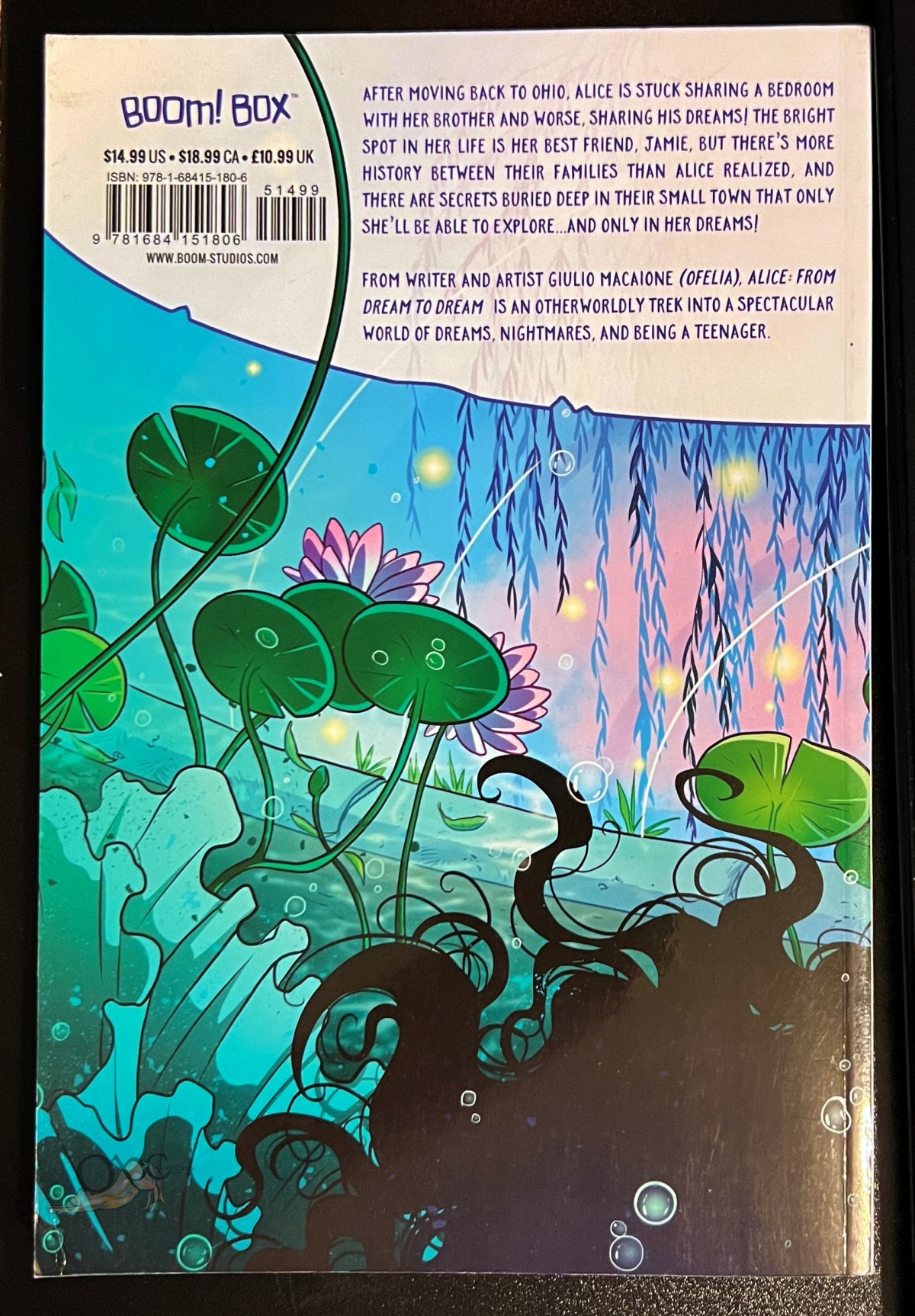 Alice: from Dream to Dream by Giulio Macaione and Giulio Adragna