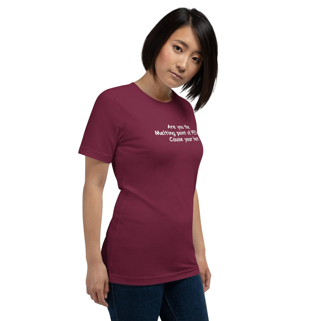 3D Printer Pick Up Line - Are You the Melting Point - Unisex t-shirt
